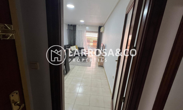 Вторичный рынок - Квартира - Торревьеха - Playa del cura