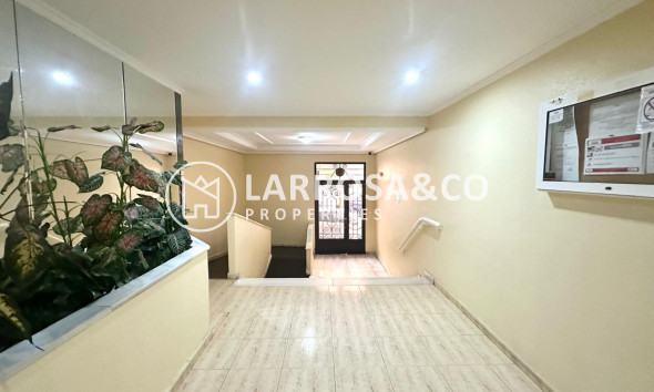 Reventa - Apartamento - Torrevieja - Acequion