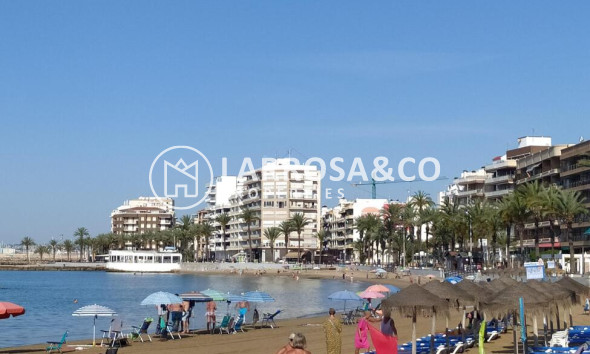 Reventa - Apartamento - Torrevieja - Centro
