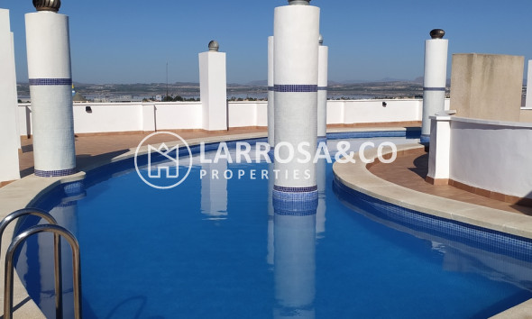 Вторичный рынок - Квартира - Торревьеха - torrevieja