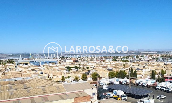 Вторичный рынок - Квартира - Торревьеха - torrevieja