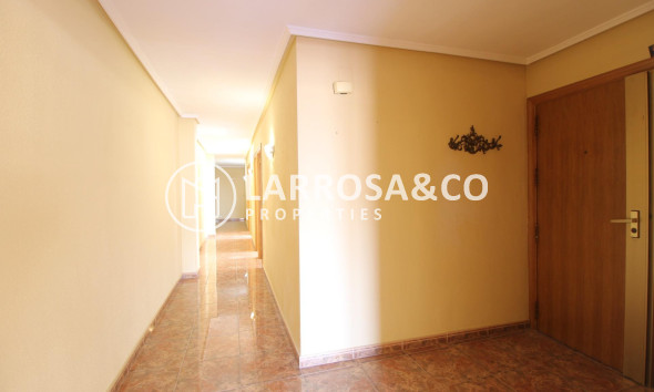 Вторичный рынок - Квартира - Торревьеха - torrevieja