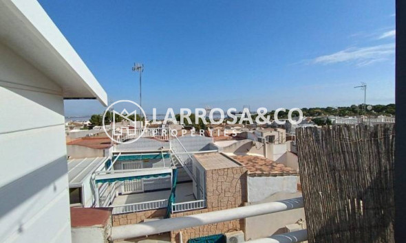 A Vendre - Apartment - Torrevieja - Los Balcones