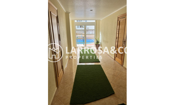 Resale - Apartment - Torrevieja - Centro