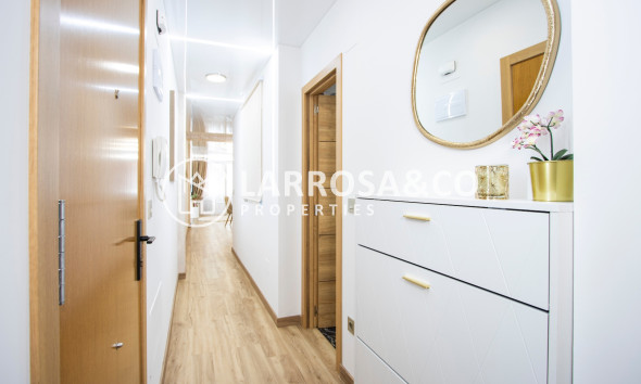 Вторичный рынок - Квартира - Торревьеха - Costa Blanca