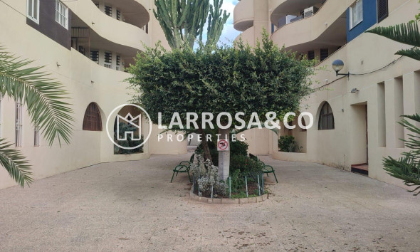 Вторичный рынок - Квартира - Торревьеха - La veleta