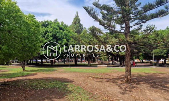 Reventa - Apartamento - Torrevieja - Costa Blanca