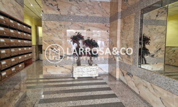 Вторичный рынок - Квартира - Торревьеха - Costa Blanca