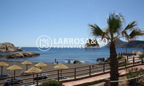 New build - Semi-detached house - La Union - centro