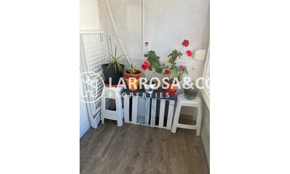 Reventa - Apartamento - Torrevieja - Centro