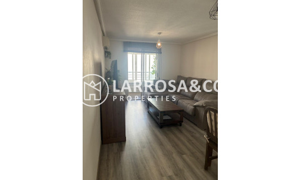 Reventa - Apartamento - Torrevieja - Centro