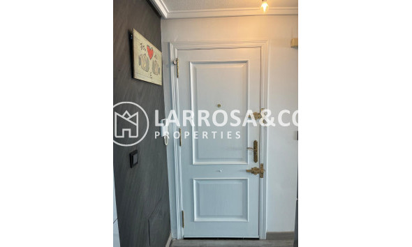 Reventa - Apartamento - Torrevieja - Centro