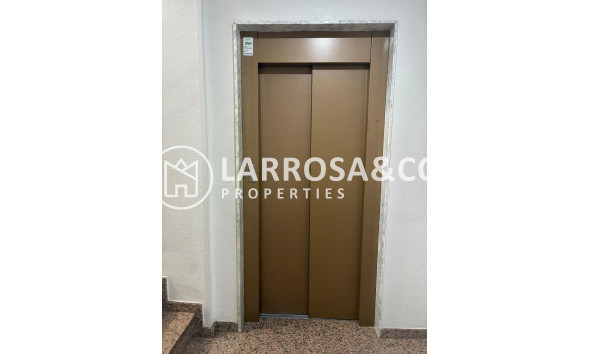 Reventa - Apartamento - Torrevieja - Centro