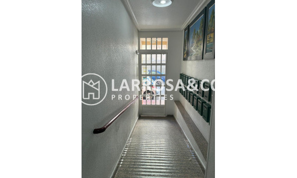 Reventa - Apartamento - Torrevieja - Centro