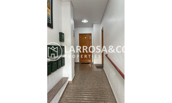 Reventa - Apartamento - Torrevieja - Centro