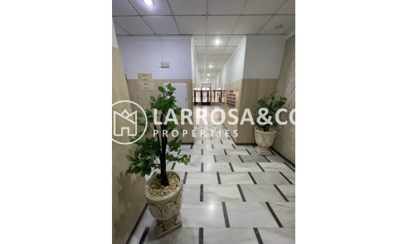 A Vendre - Penthouse  - Torrevieja - Playa de cura