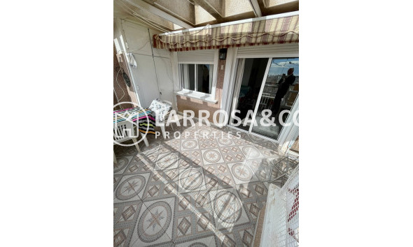 A Vendre - Penthouse  - Torrevieja - Playa de cura