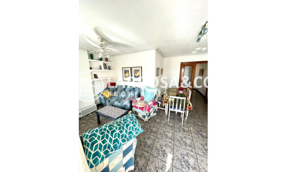 A Vendre - Penthouse  - Torrevieja - Playa de cura