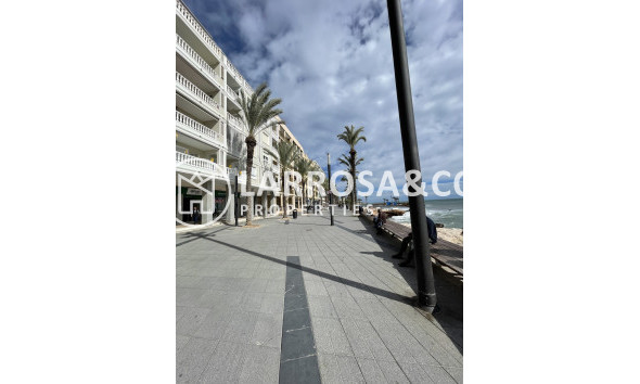 A Vendre - Penthouse  - Torrevieja - Playa de cura