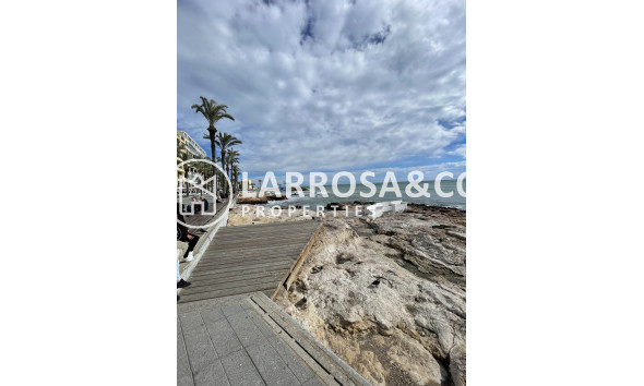 A Vendre - Penthouse  - Torrevieja - Playa de cura