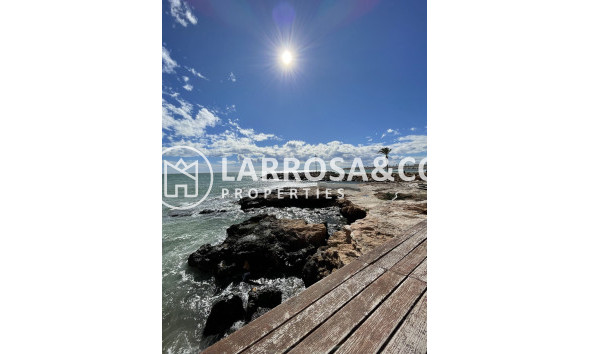 A Vendre - Penthouse  - Torrevieja - Playa de cura