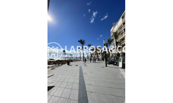 A Vendre - Penthouse  - Torrevieja - Playa de cura