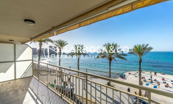 Reventa - Apartamento - Torrevieja - Playa del cura