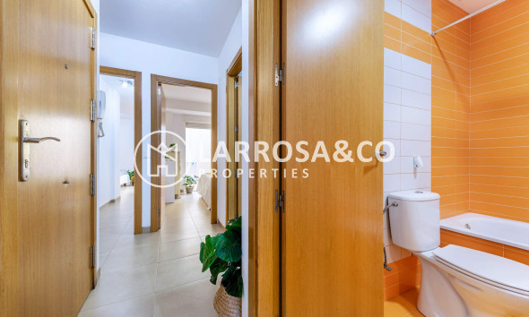 Resale - Apartment - Alicante - Carolinas Bajas