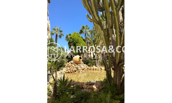 Herverkoop - Penthouse  - Torrevieja - Los Frutales