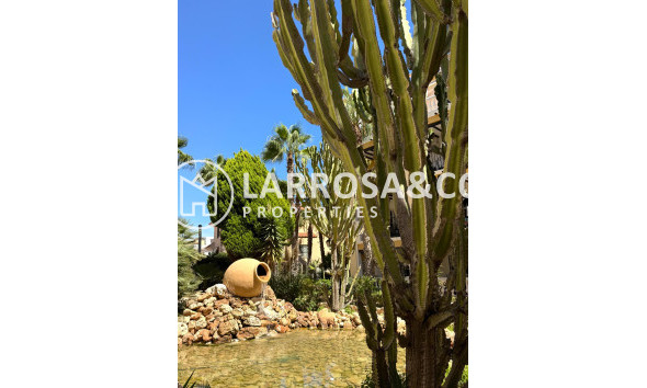 Herverkoop - Penthouse  - Torrevieja - Los Frutales