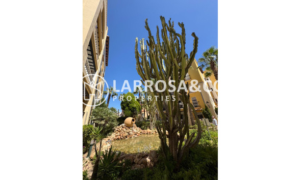 Herverkoop - Penthouse  - Torrevieja - Los Frutales