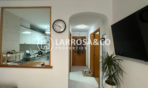 Reventa - Apartamento - Torrevieja - Centro