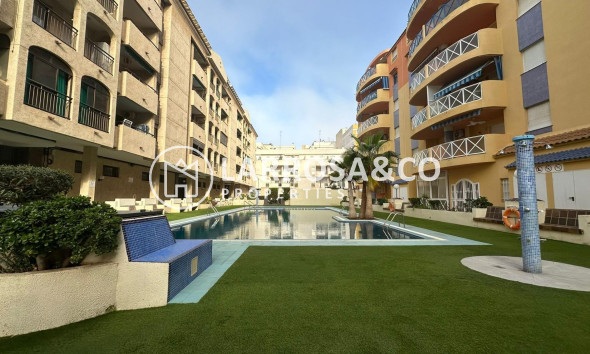 Reventa - Apartamento - Torrevieja - Centro