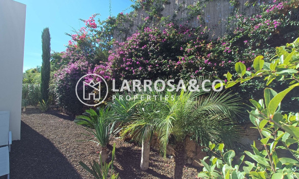 A Vendre - Villa - Algorfa - Inland