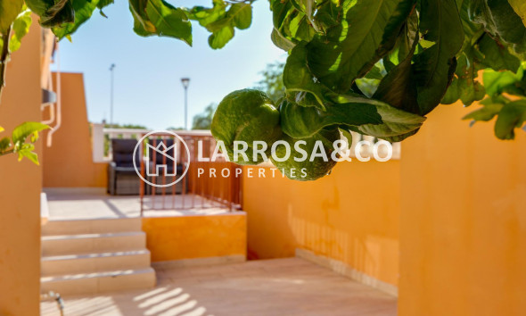 Reventa - Bungalow - Torrevieja - Aguas Nuevas