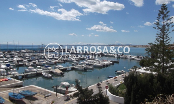 Вторичный рынок - Дом - Torre de La Horadada - Costa Blanca