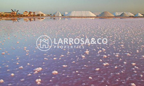 Вторичный рынок - Дом - Torre de La Horadada - Costa Blanca