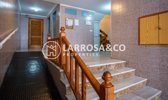 Herverkoop - Apartment - Torrevieja - Costa Blanca