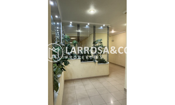 Вторичный рынок - Квартира - Торревьеха - Costa Blanca