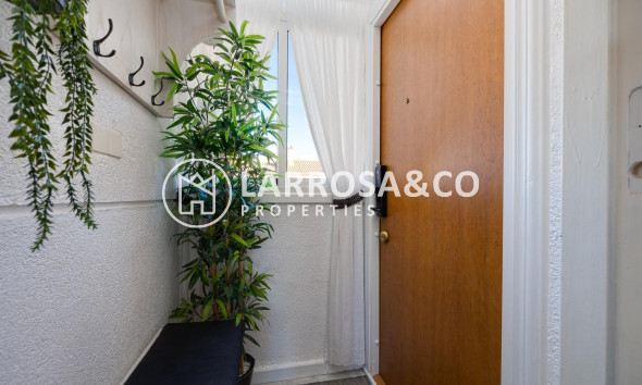 Reventa - Bungalow - Torrevieja - El molino