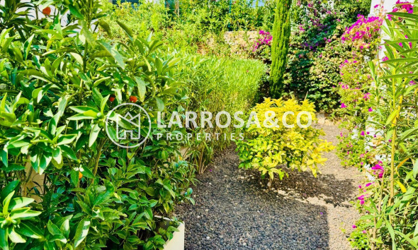 Resale - Detached House/Villa - Algorfa - Club De Golf La Finca