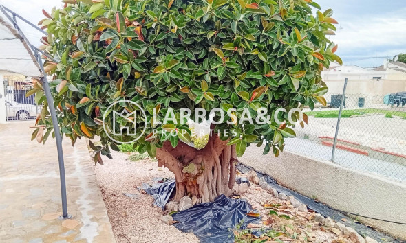 Herverkoop - Villa - Torrevieja - La Siesta - El Salado - Torreta