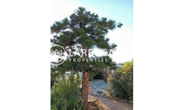 Herverkoop - Villa - Torrevieja - La Siesta - El Salado - Torreta