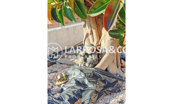 Herverkoop - Villa - Torrevieja - La Siesta - El Salado - Torreta