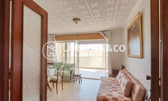 A Vendre - Penthouse  - Torrevieja - Playa de los Naufragos