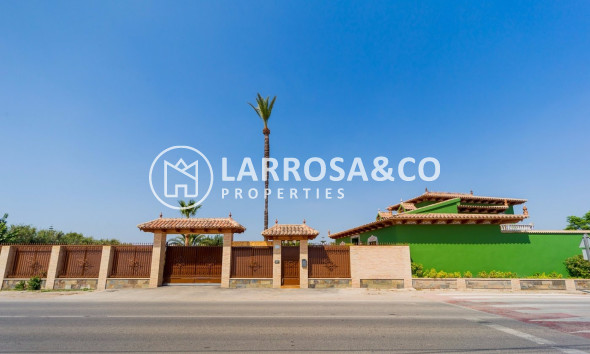 Reventa - Finca - Almoradí - Camino De Catral