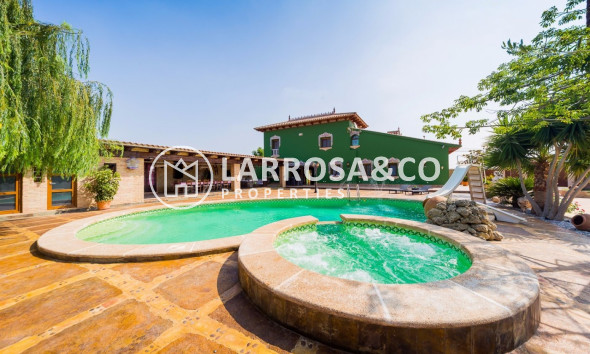 Reventa - Finca - Almoradí - Camino De Catral