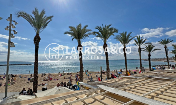 Reventa - Apartamento - Torrevieja - Costa Blanca