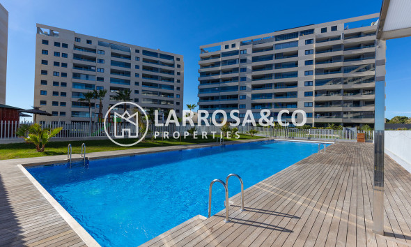 Вторичный рынок - Квартира - Торревьеха - Costa Blanca