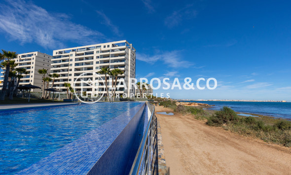 Вторичный рынок - Квартира - Торревьеха - Costa Blanca